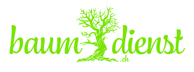 marco feuz baumdienst gmbh